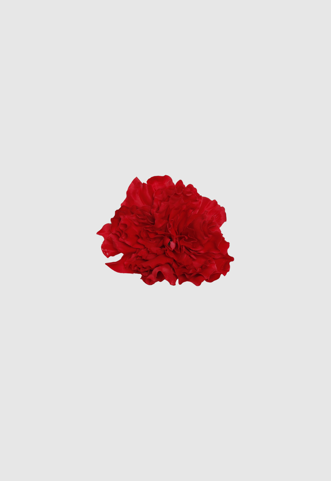 FLOR FLAMENCA