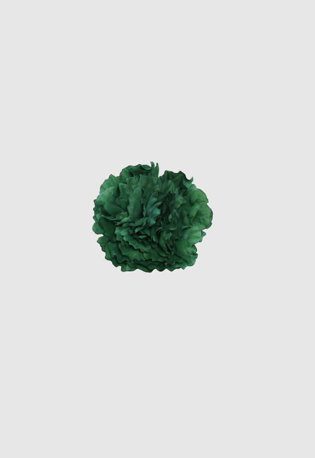 FLOR FLAMENCA