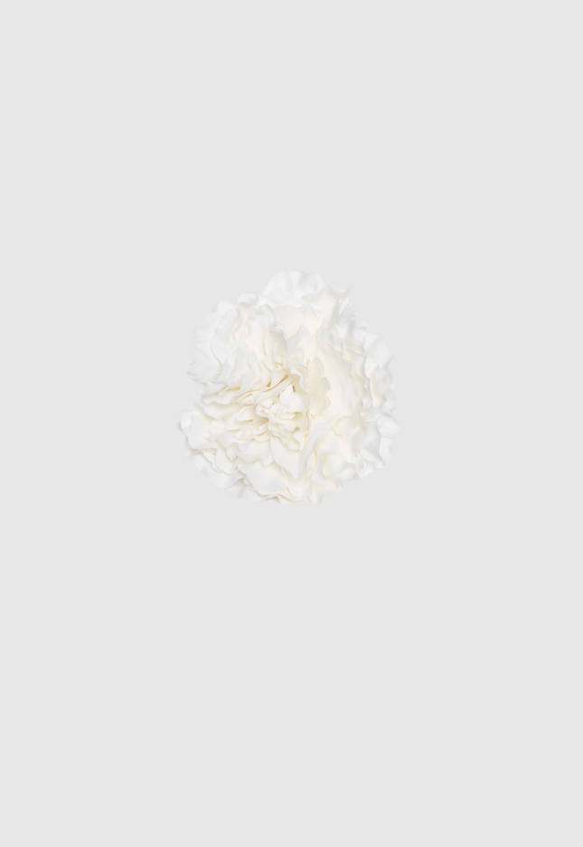 FLOR FLAMENCA