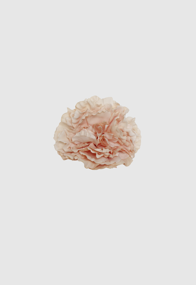 FLOR FLAMENCA