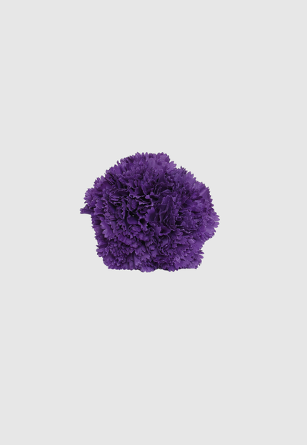 FLOR FLAMENCA