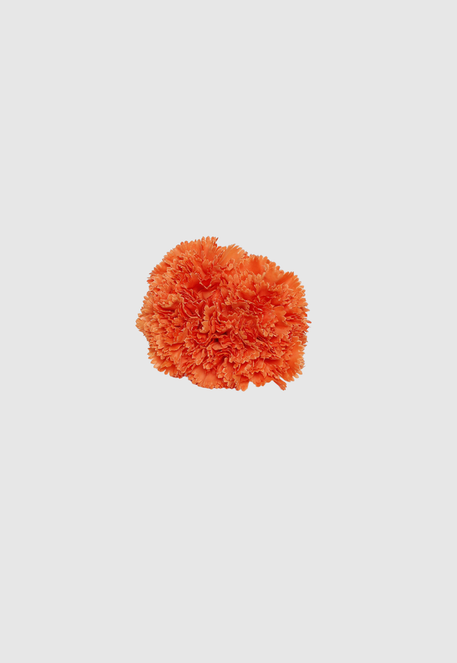FLOR FLAMENCA