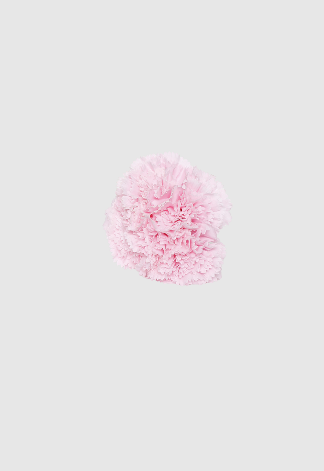 FLOR FLAMENCA