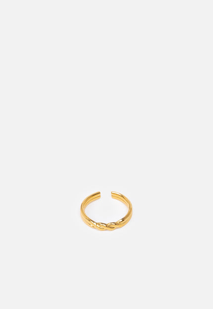 ANILLO ARMONIAS INFINITO