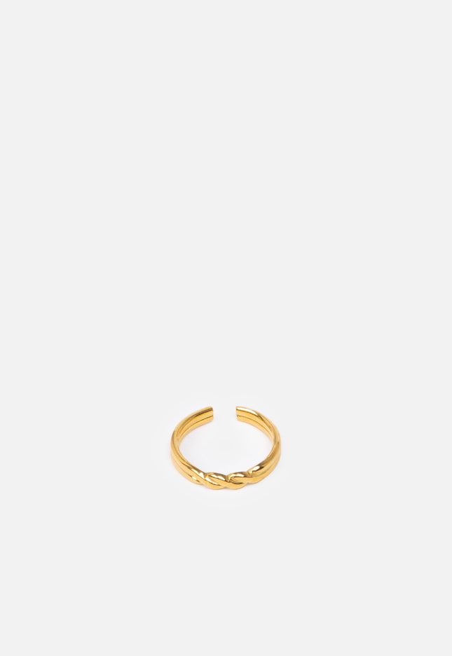 ANILLO ARMONIAS INFINITO